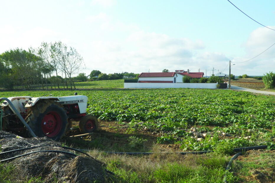 Vítimas foram encontradas por populares  