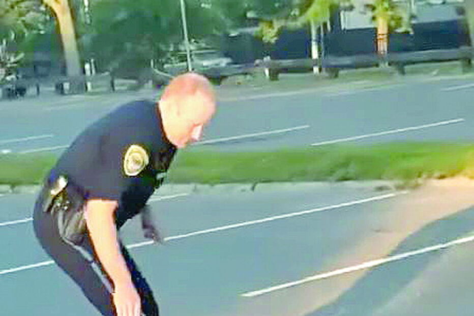 Polícia ajuda doninha em dificuldades e recebe prémio malcheiroso