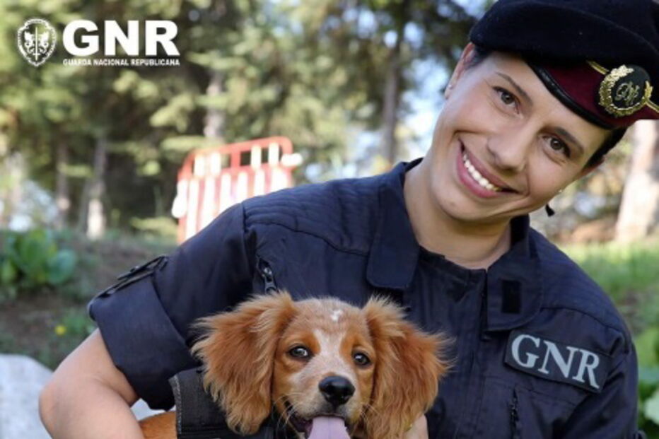 2019-08-26_16_19_51 GNR - Guarda Nacional Republicana.jpg