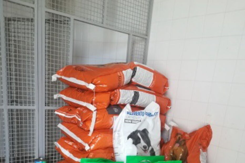 GNR, Ary, dia mundial do cão, fiel amigo, detenção de explosivos 