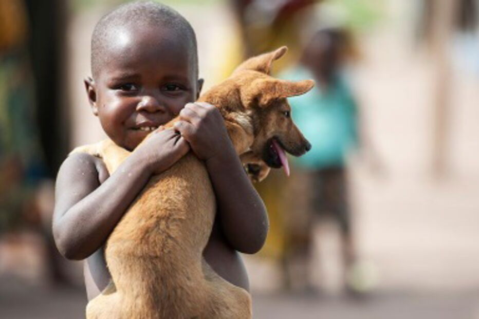 Cães homenageados nas redes sociais 