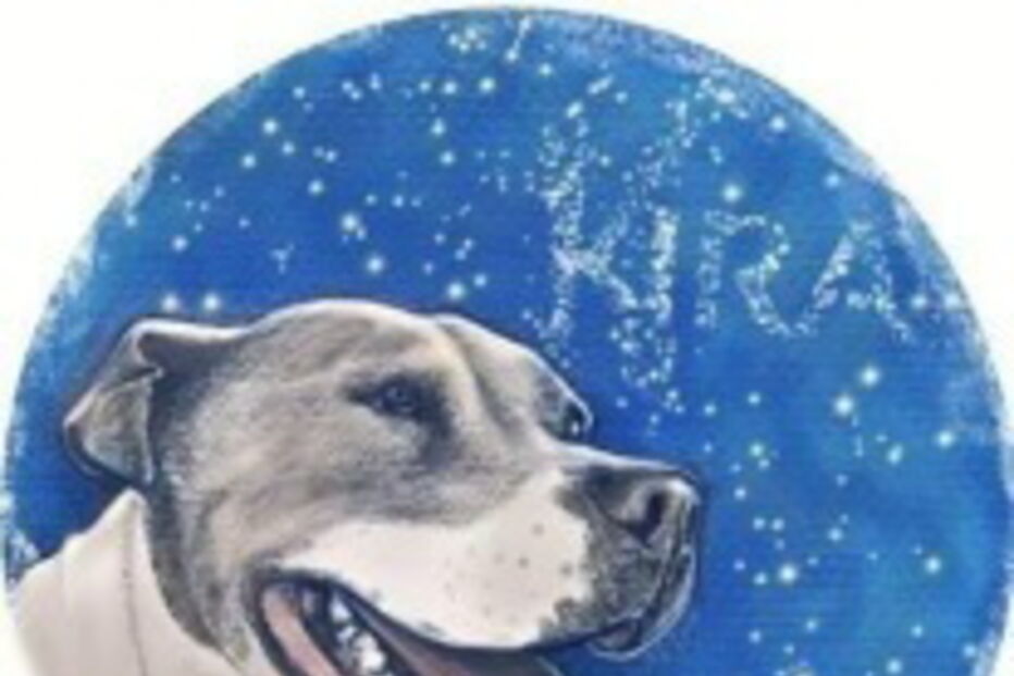 2019-08-26_17_28_32 IRA - Intervenção e Resgate Animal.jpg