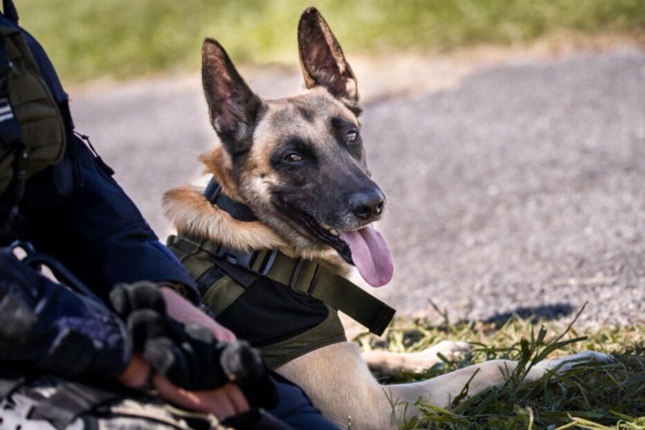 2019-08-26_17_40_18 Gendarmerie nationale.jpg