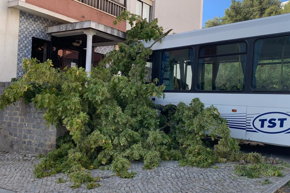 Autocarro desgovernado abalroa seis carros em Setúbal