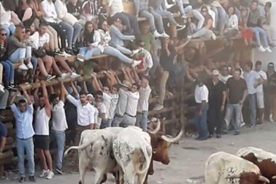 Jovem de 25 anos colhido por touro nas festas de Barrancos