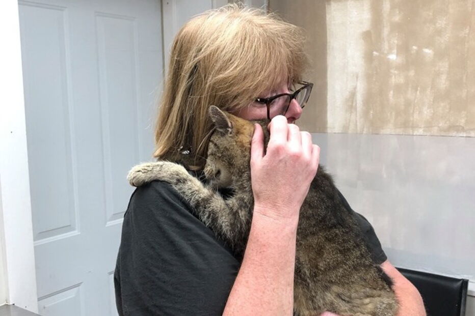 Maggie e Tiger