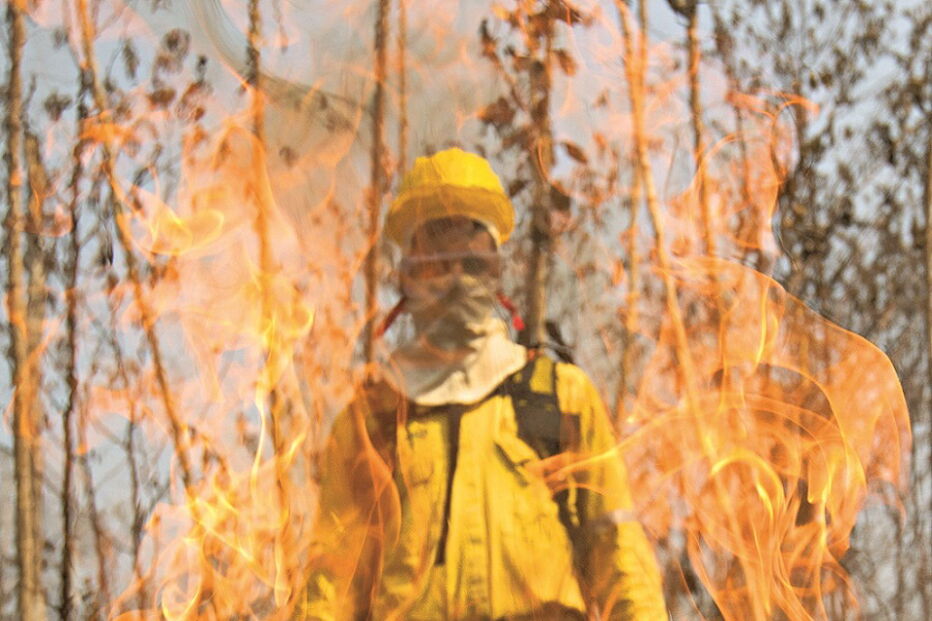 Os incêndios na Amazónia aumentaram este ano e preocupam o Mundo 