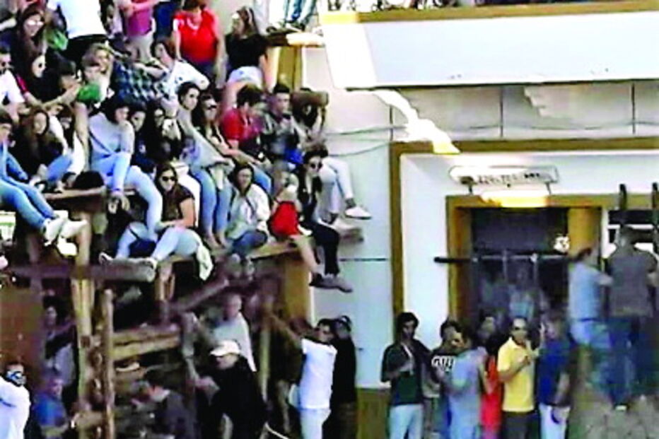 Animal que atingiu a vítima