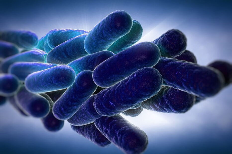 Legionella 