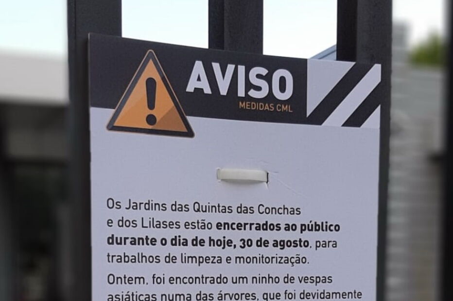 Remoção de ninho de vespas asiáticas encerra jardins das Quintas das Conchas e dos Lilases em Lisboa