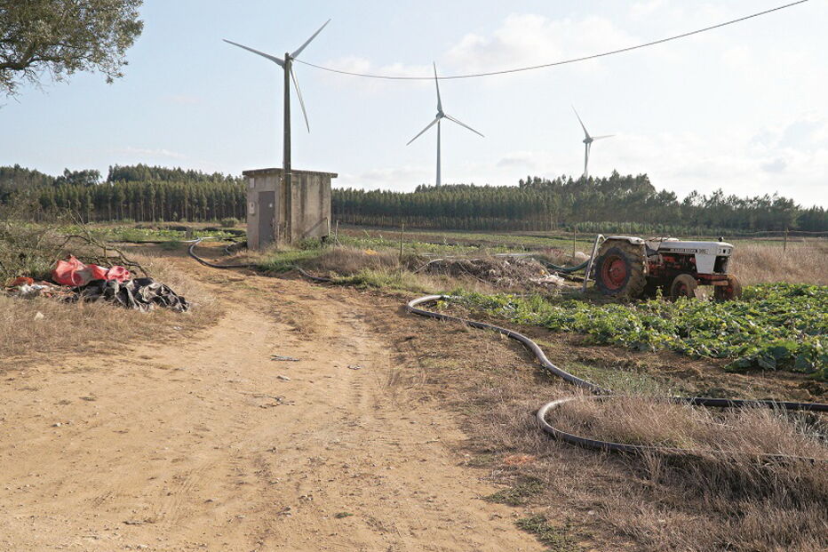 Suspeitos bateram à porta das vítimas a pedir ajuda