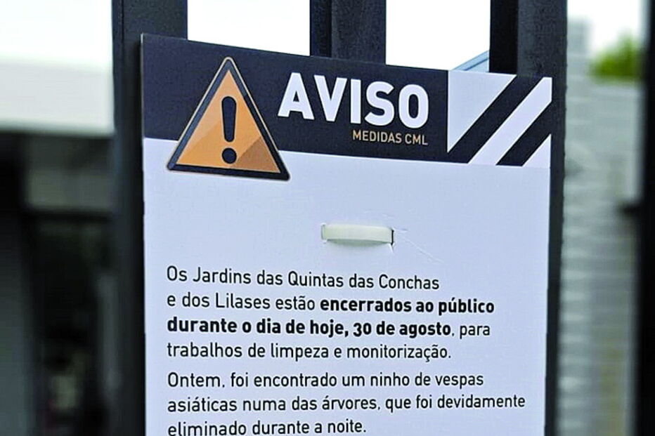 Autarquia lisboeta ainda não sabia se os jardins abriam neste fim de semana 