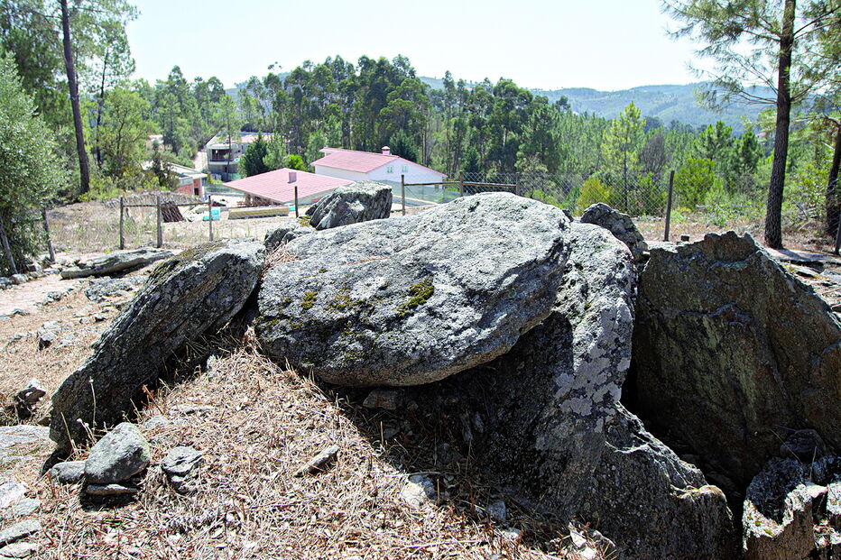 Moradores de Tomar revoltados com obra junto a anta