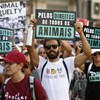 Ativistas manifestam-se pelos direitos dos animais em Lisboa 
