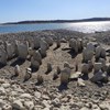 Margens do Rio Tejo secam e deixam 'Stonehenge espanhol' a descoberto