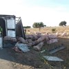 Camião que transportava suínos despista-se no IC1 em Santiago do Cacém