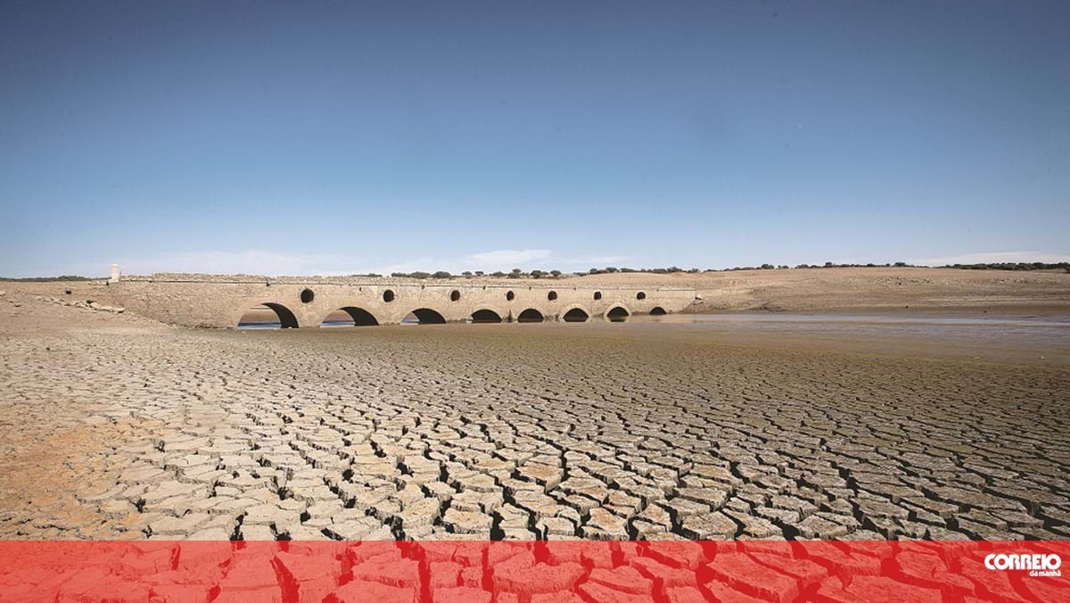 Rede Aga Khan alerta diz que financiamento climático não pode ser à custa dos mais pobres