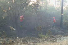 Incêndio obriga à evacuação de aldeia em Ourém