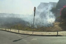 Chamas consomem zona de mato na Brandoa