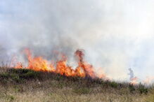 Chamas consomem zona de mato na Brandoa