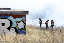 Chamas consomem zona de mato na Brandoa