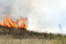 Chamas consomem zona de mato na Brandoa