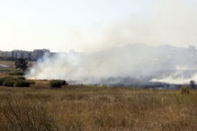 Chamas consomem zona de mato na Brandoa