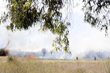 Chamas consomem zona de mato na Brandoa