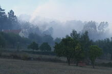 Fogo lavra com intensidade num povoamento florestal em Leiria