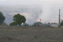 Fogo lavra com intensidade num povoamento florestal em Leiria