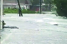 Vento derrubou árvores e postes de eletricidade