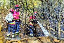 Dezenas de bombeiros combateram as chamas em Sintra 