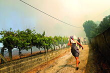 Moradores viveram momentos de terror com as chamas em Fontão