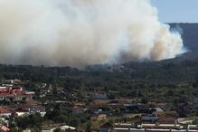 Chamas consomem povoamento florestal na Mealhada