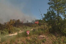 2019-09-08_12_46_48 Mais de 400 bombeiros no combate às chamas em dois incêndios em Castro Daire.jpg