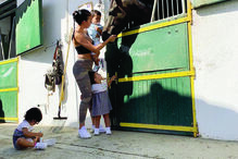 Alana Martina, Eva e Mateo mostram ternura por cavalos