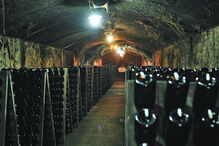 A maior mostra de  espumantes, vinhos e sabores da região assume, este ano, um novo nome