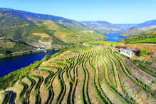 Região do Douro vinhateiro