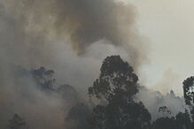 Incêndio em Ovar obriga ao corte da A1 nos dois sentidos