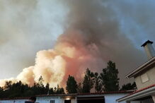 Fogo em Miranda do Corvo