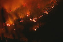 Incêndio descontrolado em Miranda do Corvo