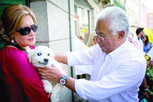 António Costa, secretário-geral do PS