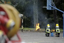 Elementos dos bombeiros queimam um vespeiro de vespa asiática 
