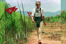 Príncipe Harry visita antigo campo de minas terrestres percorrido pela Princesa Diana 