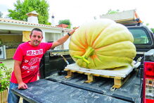 José Santos conseguiu produzir uma abóbora com cerca de 450 quilos  