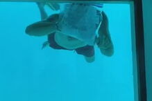 Homem faz pedido de casamento debaixo de água e acaba afogado