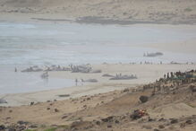 Mais de 160 golfinhos morrem após encalharem em praia de Cabo Verde 