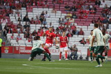 Benfica - V. Setúbal 