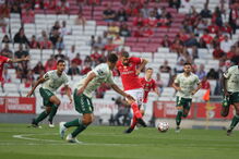 Benfica - V. Setúbal 