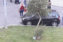 Casal detido após agredir PSP em Rio de Mouro